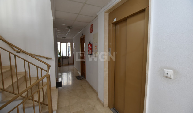 Resale - Apartment / flat - Algorfa - Inland
