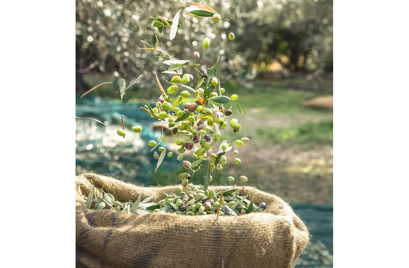 Odsprzedaż - Działka / Grunt - Murcia - Inland