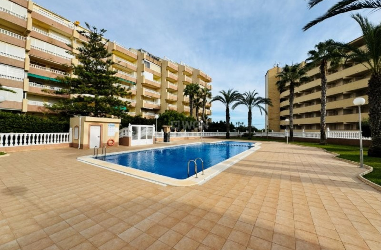 Resale - Apartment / flat - La Mata - Costa Blanca