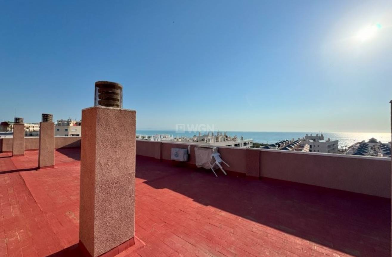Resale - Apartment / flat - La Mata - Costa Blanca