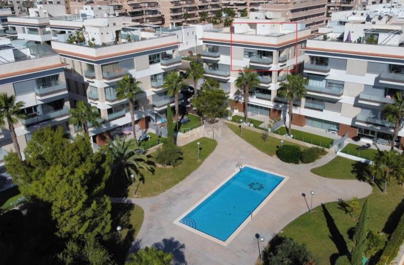 Reventa - Apartamento / piso - Orihuela Costa - Costa Blanca