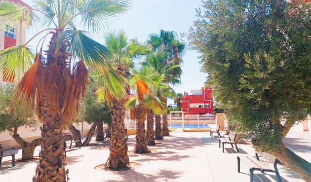 Resale - Penthouse - Orihuela Costa - Costa Blanca