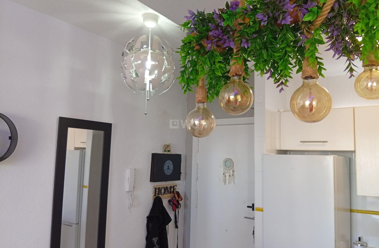 Resale - Penthouse - Torrevieja