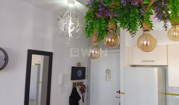 Resale - Penthouse - Torrevieja