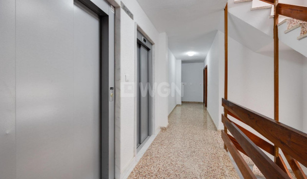 Reventa - Apartamento / piso - Torrevieja - Costa Blanca