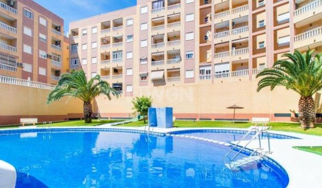Resale - Apartment / flat - Torrevieja - PARQUE DE LAS NACIONES