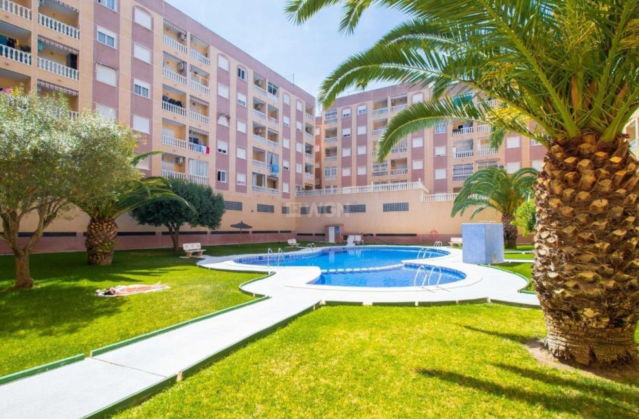 Resale - Apartment / flat - Torrevieja - PARQUE DE LAS NACIONES