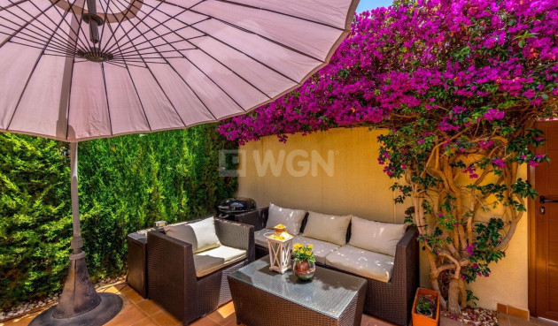 Odsprzedaż - Kamienica - Torrevieja - aguas nuevas