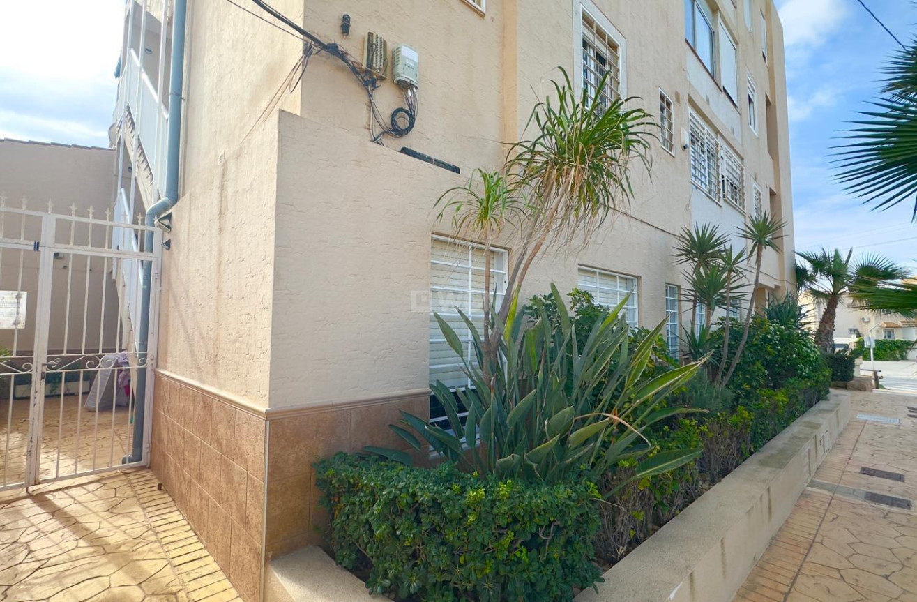 Wiederverkauf - Wohnung - Torrevieja - Zona Los Frutales