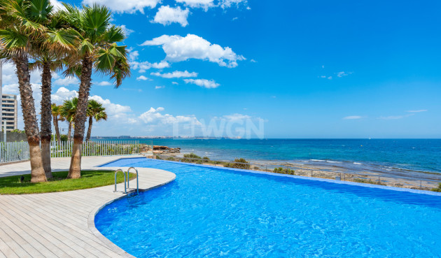 Wiederverkauf - Wohnung - Punta Prima - Costa Blanca