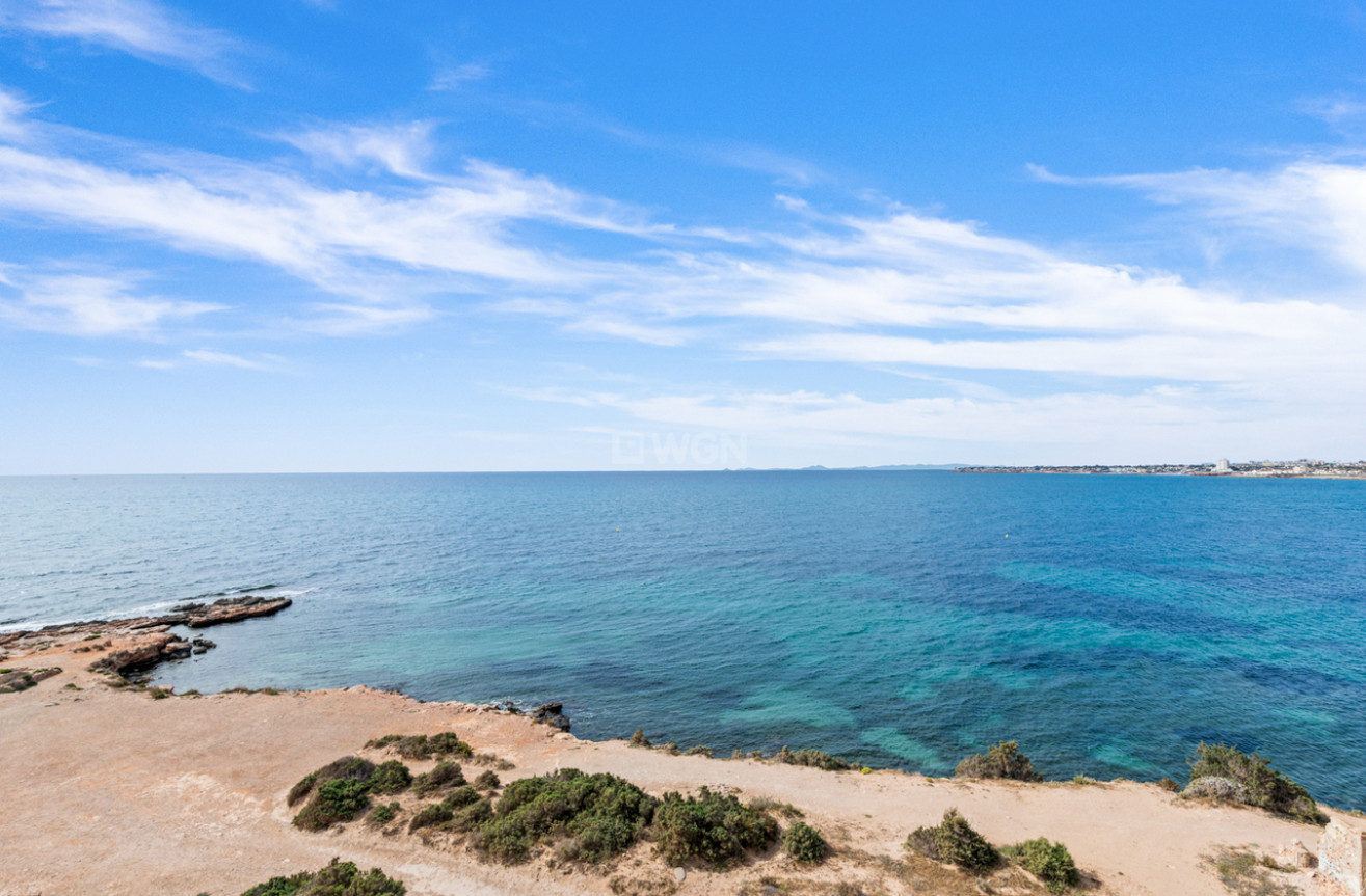 Wiederverkauf - Wohnung - Punta Prima - Costa Blanca