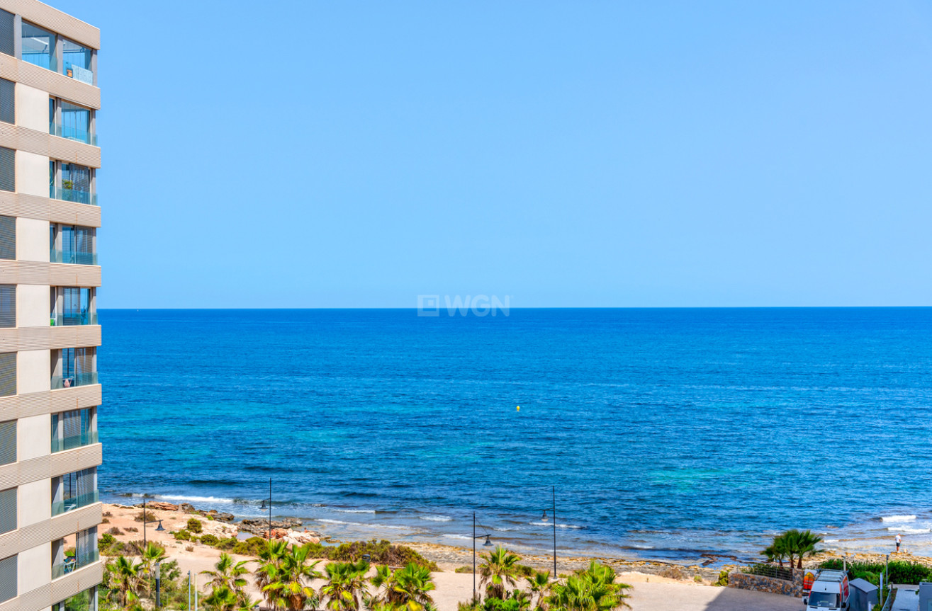 Wiederverkauf - Wohnung - Punta Prima - Costa Blanca