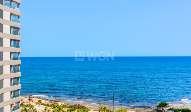 Wiederverkauf - Wohnung - Punta Prima - Costa Blanca