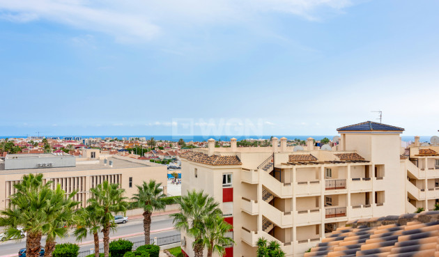 Wiederverkauf - Wohnung - Playa Flamenca - Costa Blanca