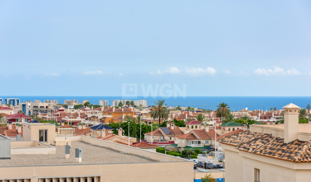 Wiederverkauf - Wohnung - Playa Flamenca - Costa Blanca