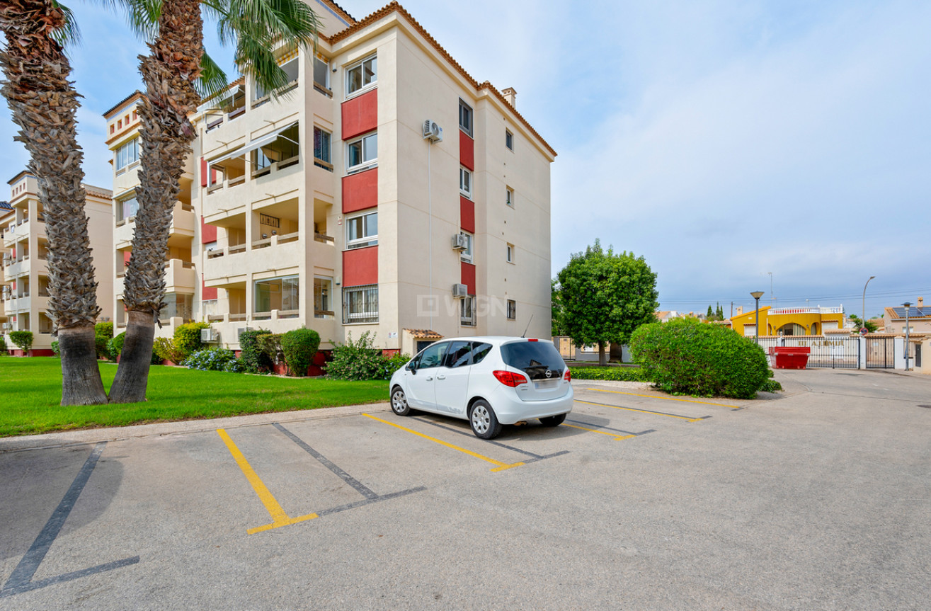 Wiederverkauf - Wohnung - Playa Flamenca - Costa Blanca