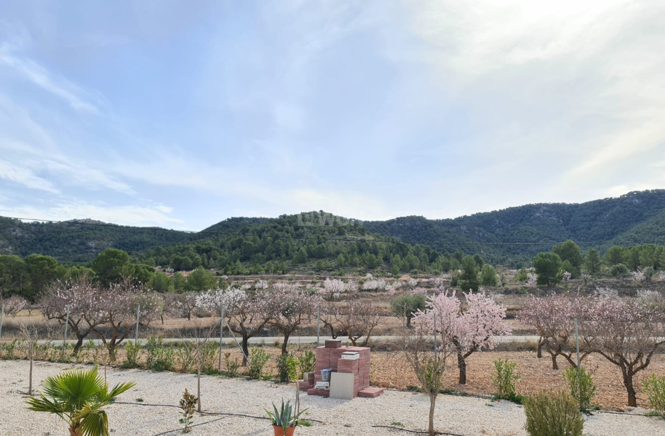 Resale - Villa - Abanilla - Inland