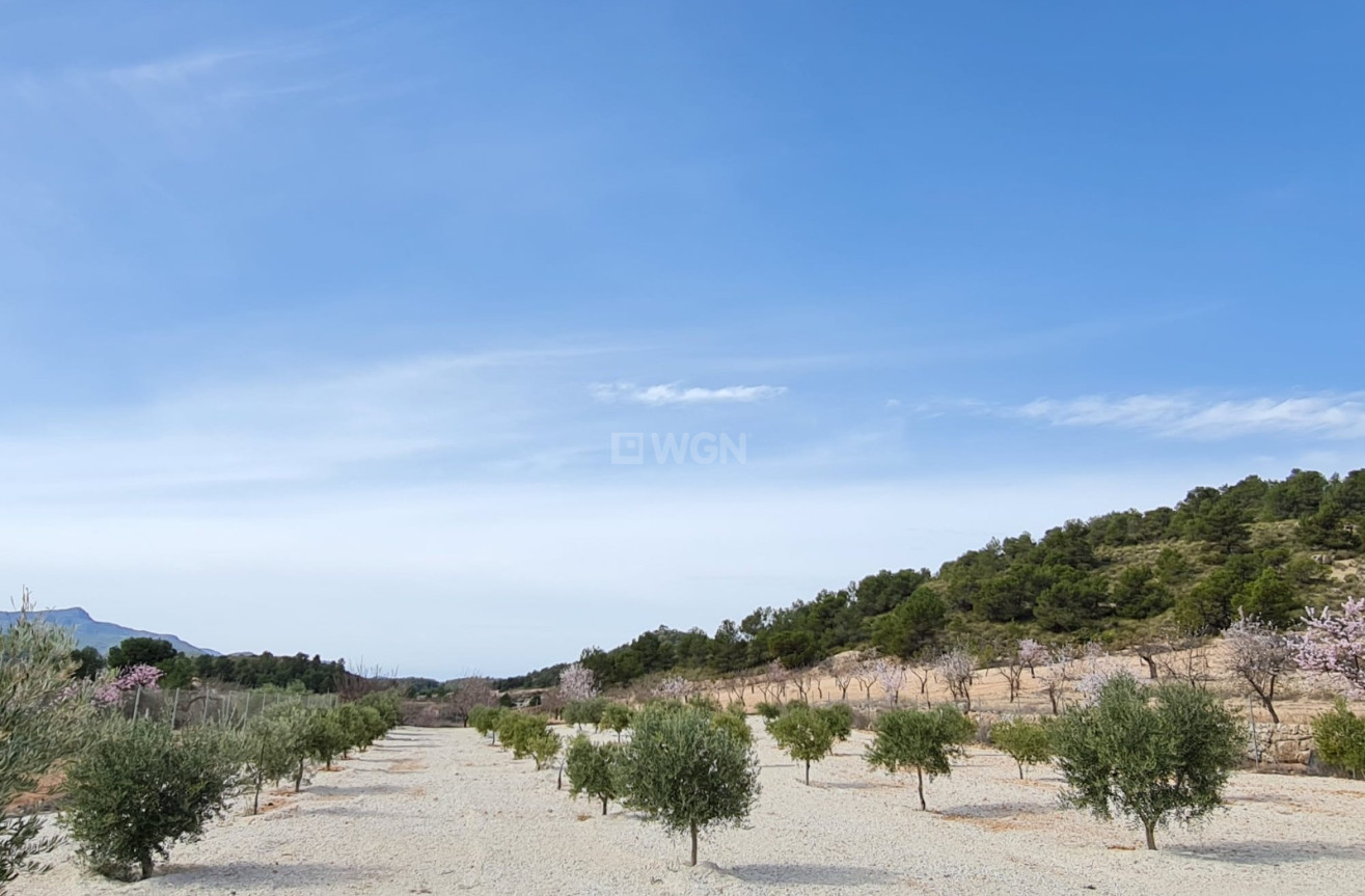 Resale - Villa - Abanilla - Inland