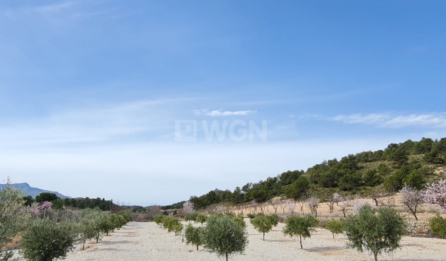 Resale - Villa - Abanilla - Inland