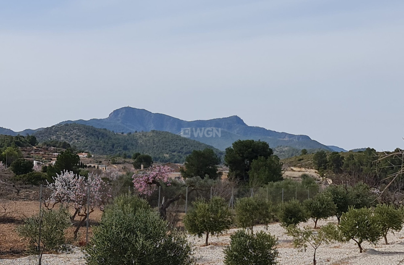 Resale - Villa - Abanilla - Inland