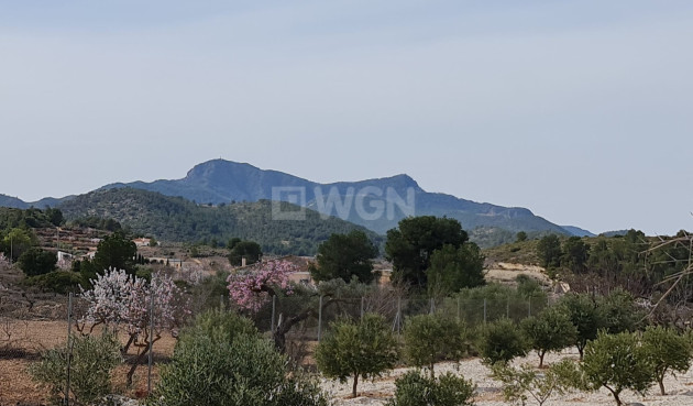 Resale - Villa - Abanilla - Inland