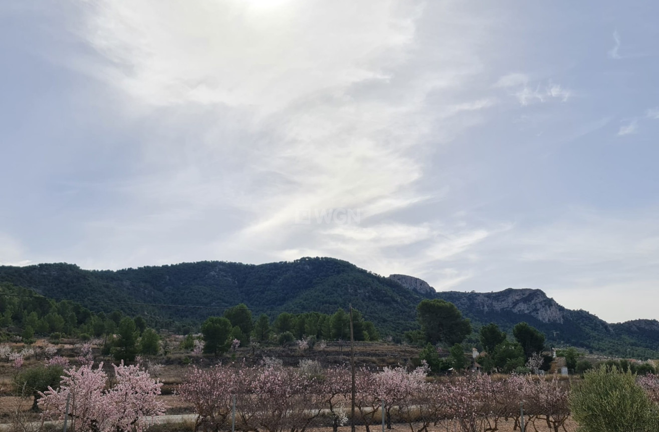 Resale - Villa - Abanilla - Inland