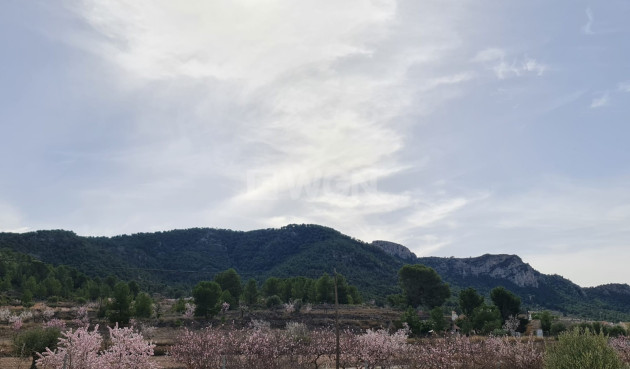 Resale - Villa - Abanilla - Inland