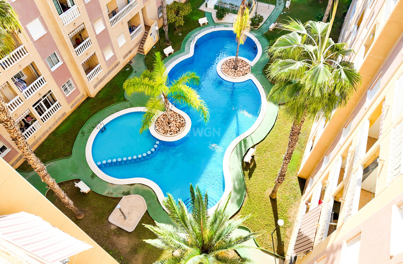 Odsprzedaż - Mieszkanie w bloku - Torrevieja - Costa Blanca
