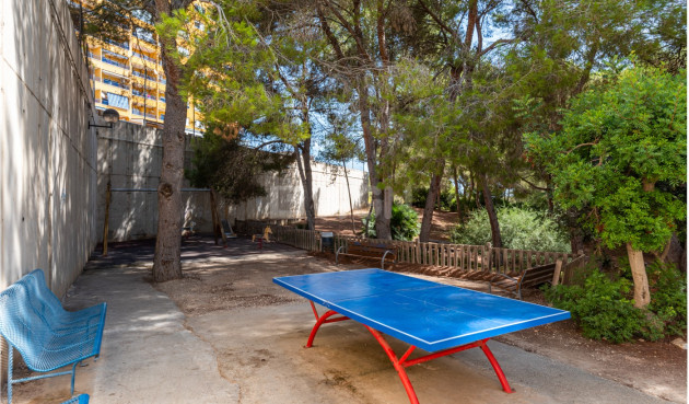 Odsprzedaż - Mieszkanie w bloku - Alicante - Costa Blanca