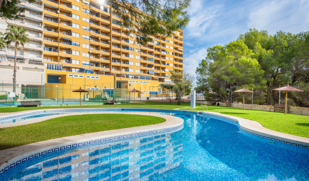 Odsprzedaż - Mieszkanie w bloku - Alicante - Costa Blanca