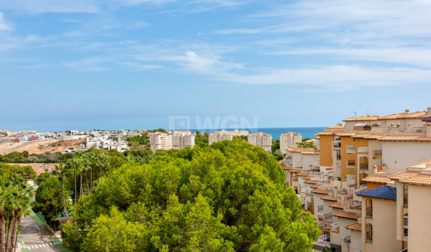 Odsprzedaż - Mieszkanie w bloku - Alicante - Costa Blanca