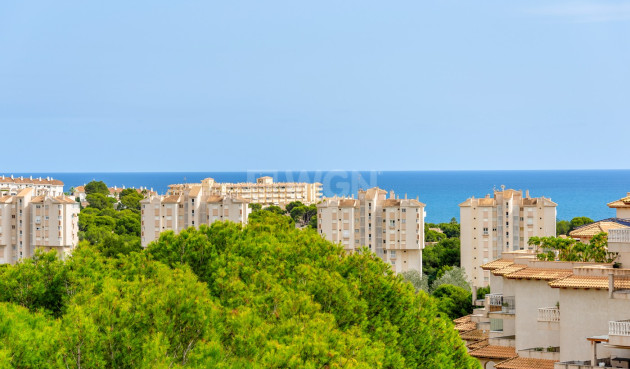 Odsprzedaż - Mieszkanie w bloku - Alicante - Costa Blanca