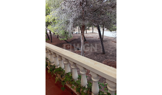 Odsprzedaż - Kamienica - Torrevieja - Costa Blanca