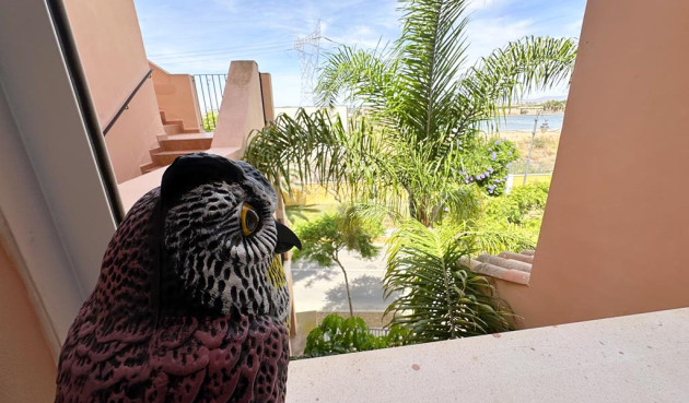 Resale - Apartment / flat - Mar Menor Golf Resort - Inland