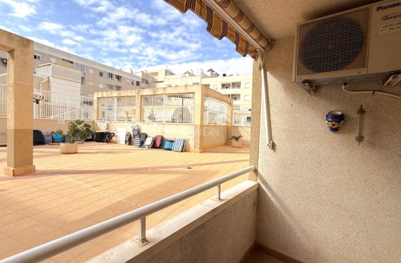 Odsprzedaż - Mieszkanie w bloku - Torrevieja - Costa Blanca