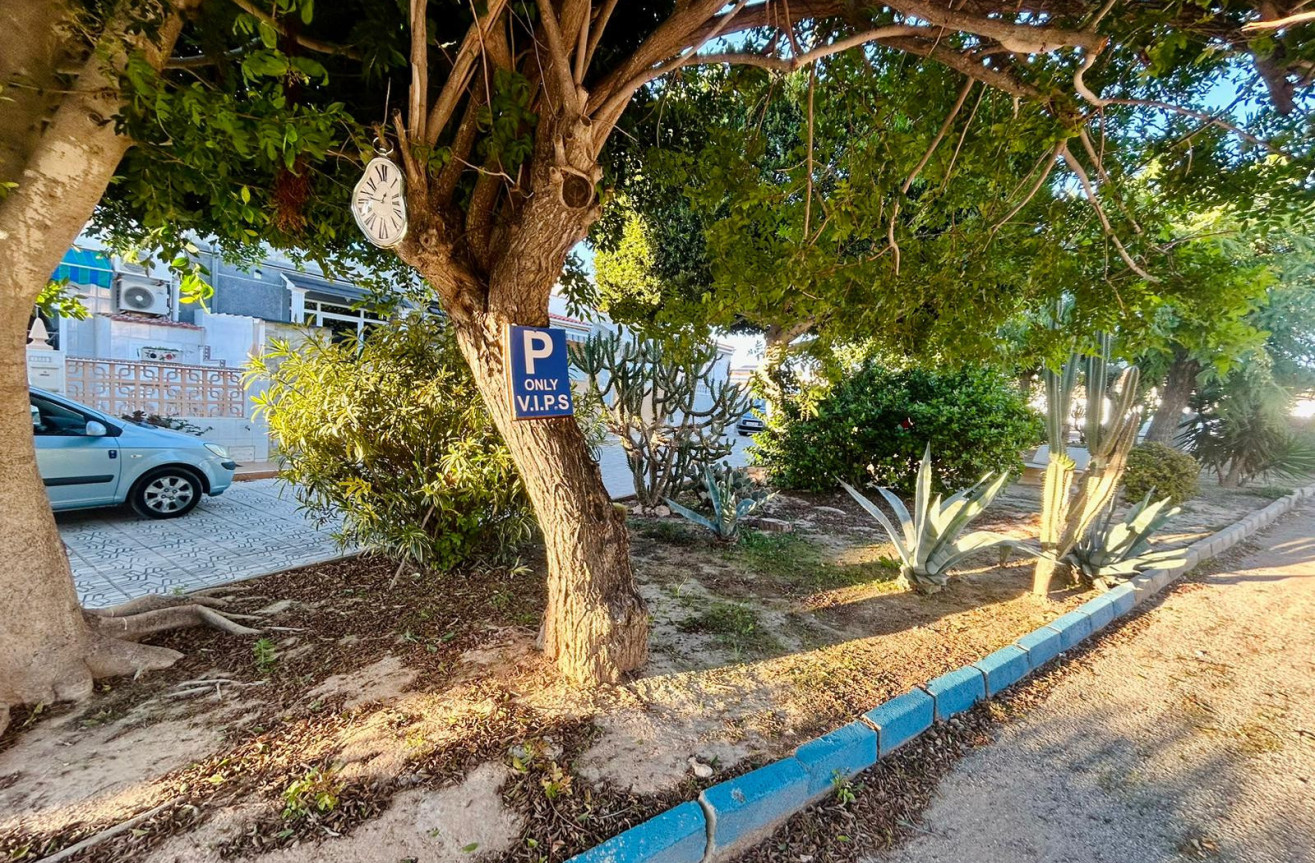 Wiederverkauf - Stadthaus - Torrevieja - Costa Blanca