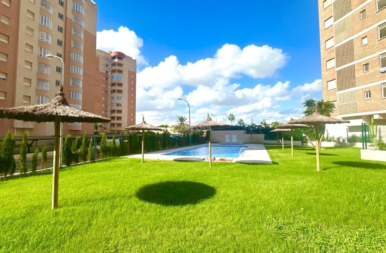 Wiederverkauf - Wohnung - Orihuela Costa - Campoamor