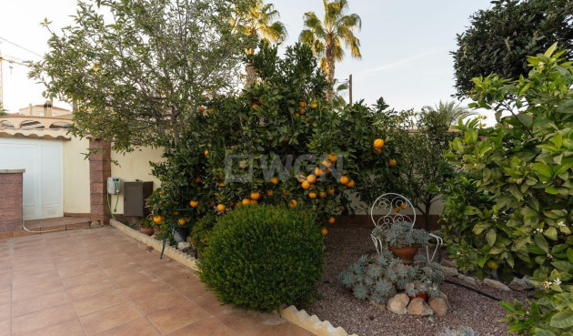 Reventa - Villa - Torrevieja - Los Balcones - Los Altos del Edén