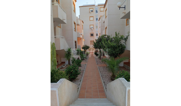 Odsprzedaż - Mieszkanie w bloku - Torrevieja - Torreblanca