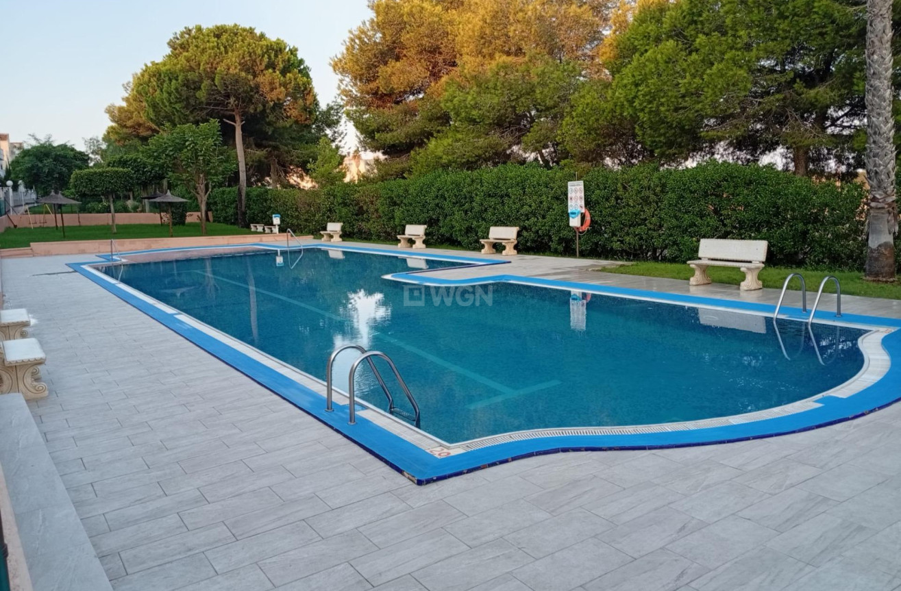 Odsprzedaż - Mieszkanie w bloku - Torrevieja - Torreblanca