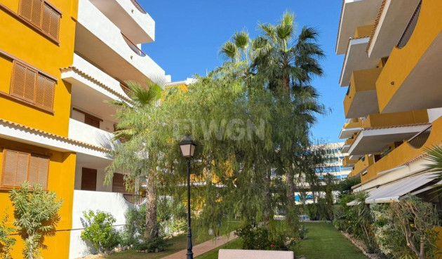 Resale - Apartment / flat - Torrevieja - Punta Prima