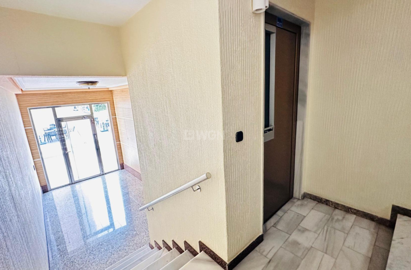 Wiederverkauf - Wohnung - Torrevieja - Centro