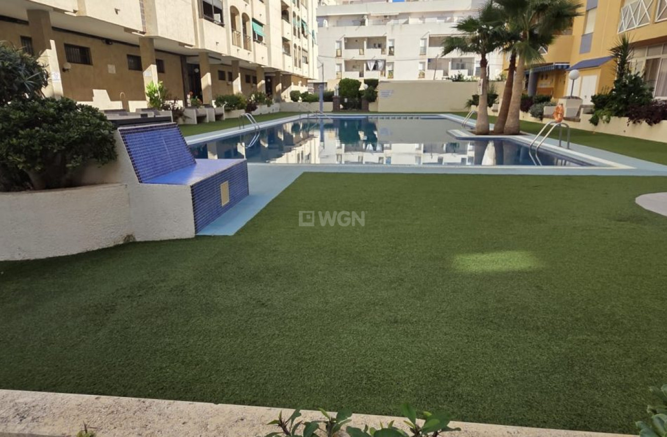 Wiederverkauf - Wohnung - Torrevieja - Costa Blanca