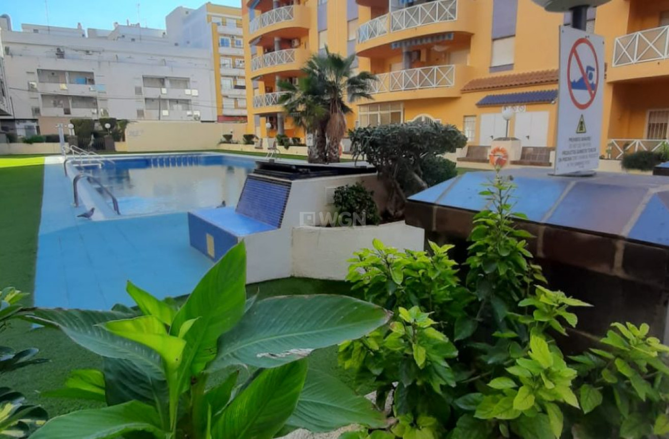 Wiederverkauf - Wohnung - Torrevieja - Costa Blanca