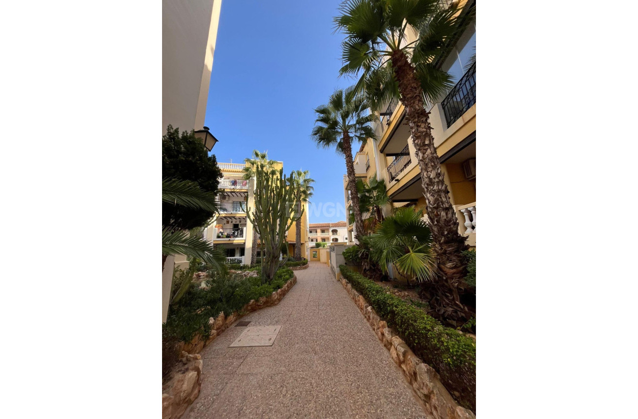 Resale - Penthouse - Torrevieja - Los Frutales