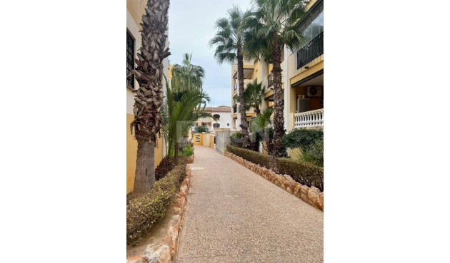 Resale - Penthouse - Torrevieja - Los Frutales