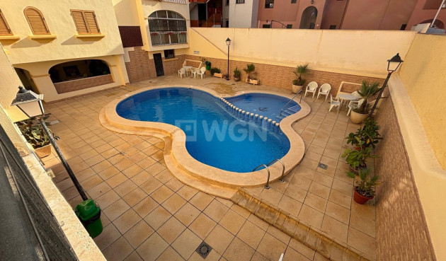 Odsprzedaż - Mieszkanie w bloku - Torrevieja - Los Frutales