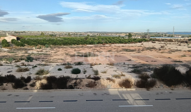 Resale - Townhouse - Los Montesinos - Costa Blanca