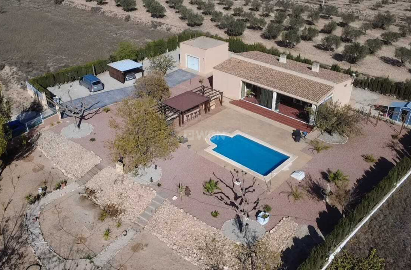 Odsprzedaż - Villa - Sax - Inland