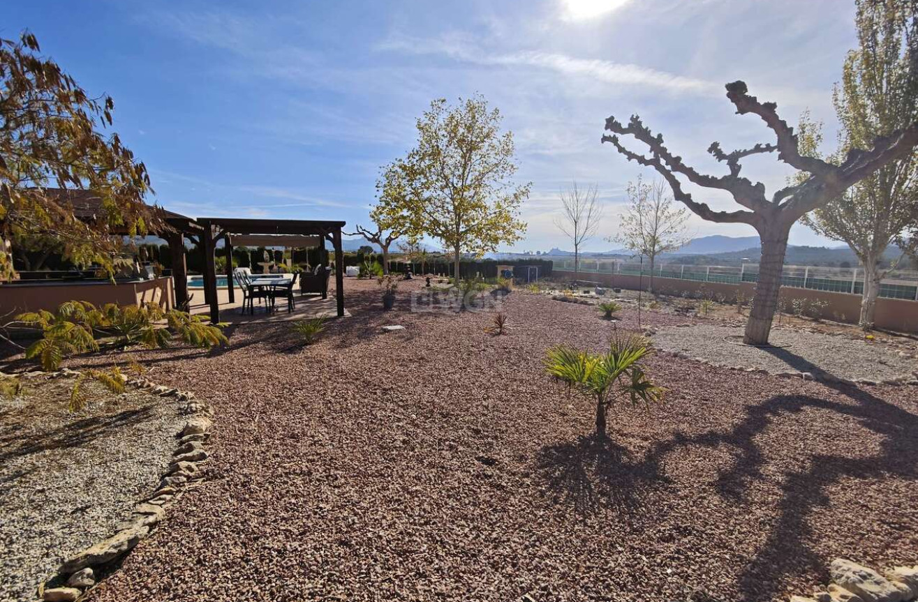 Odsprzedaż - Villa - Sax - Inland